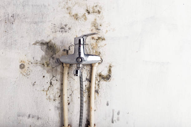 Hannahs Mill, GA Mold Removal Company