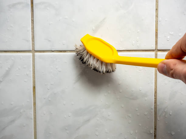 Best Mold Removal Company Near Me  in Hannahs Mill, GA