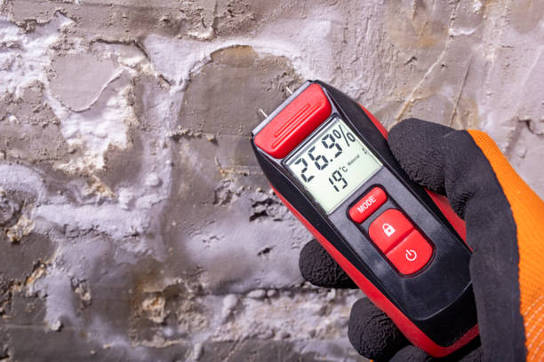 Office Mold Removal Services in Hannahs Mill, GA