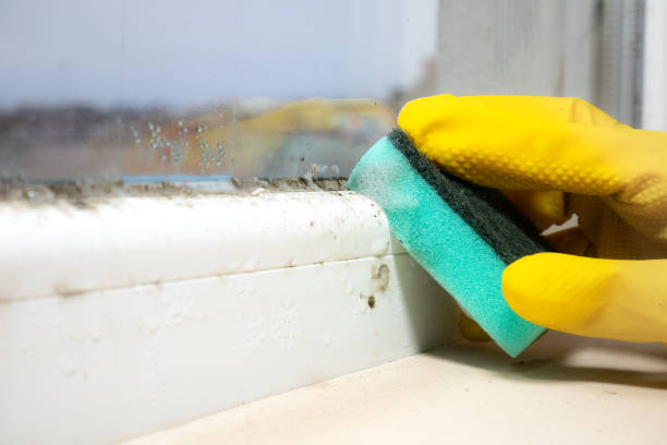 Best Crawl Space Mold Removal  in Hannahs Mill, GA